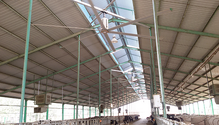 畜牧养殖厂通风降温方案